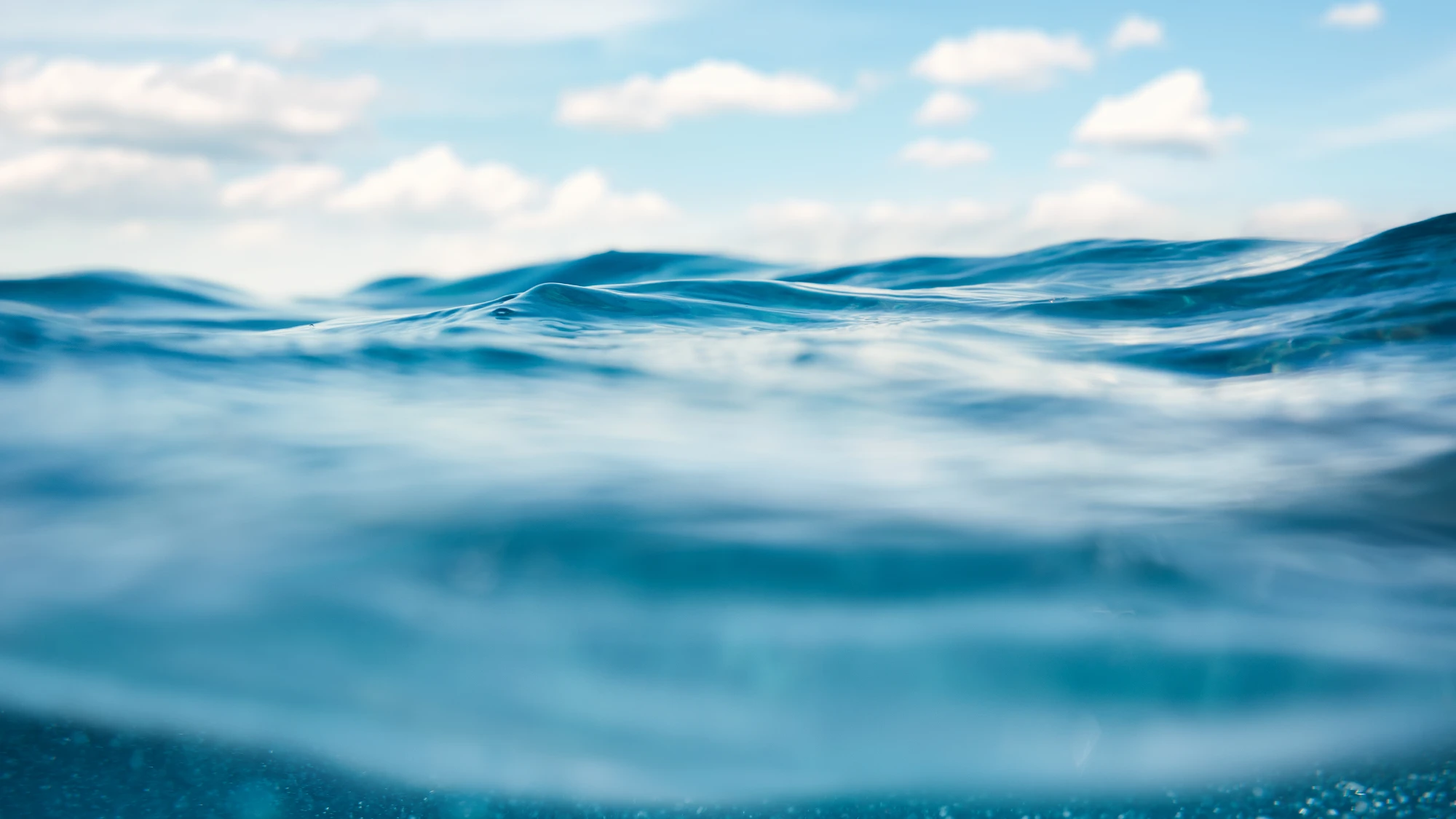 Ocean Waves