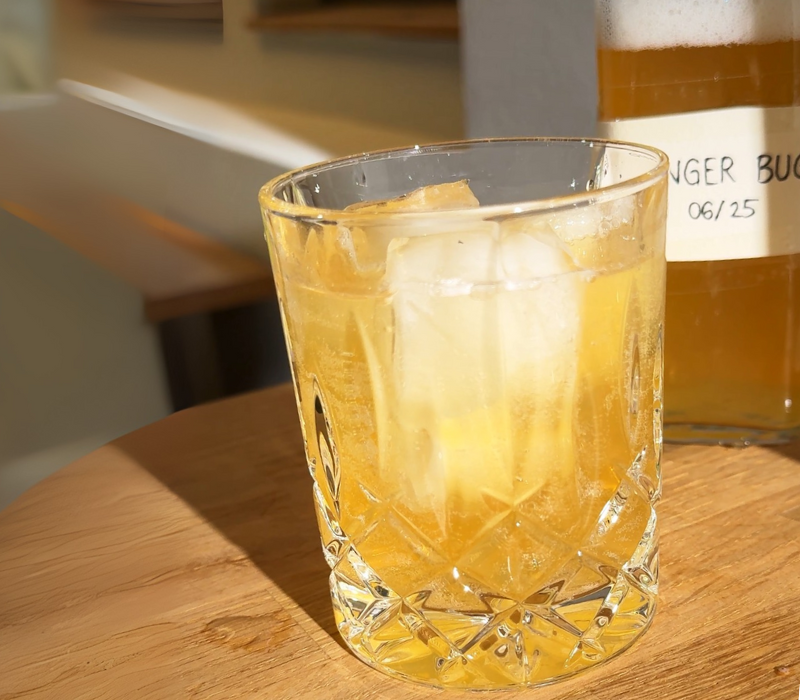 Ginger Bug selbst gemacht Selbstgemachter Ginger Bug für Ingwergetränke