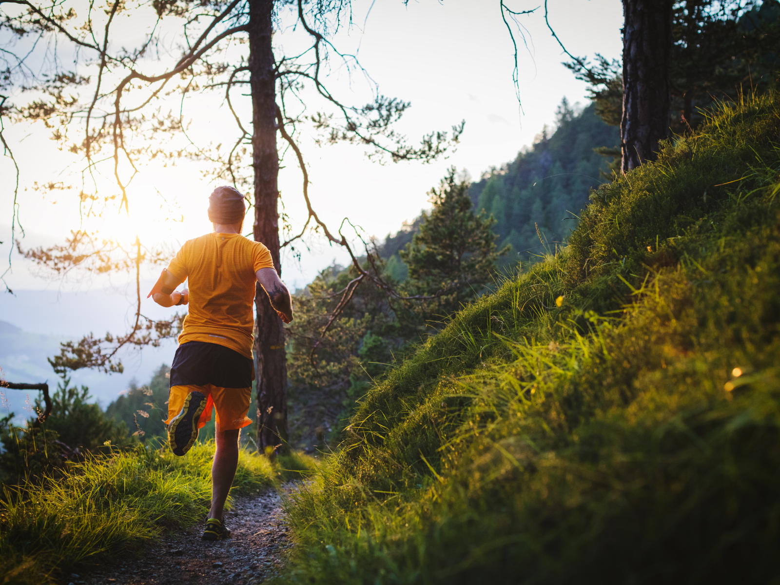 Trailrunning im Herbst Trail Läufer im Herbst im Wald