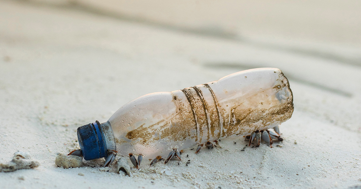 Schmutzige Plastikflasche mit Muscheln am Sandstrand