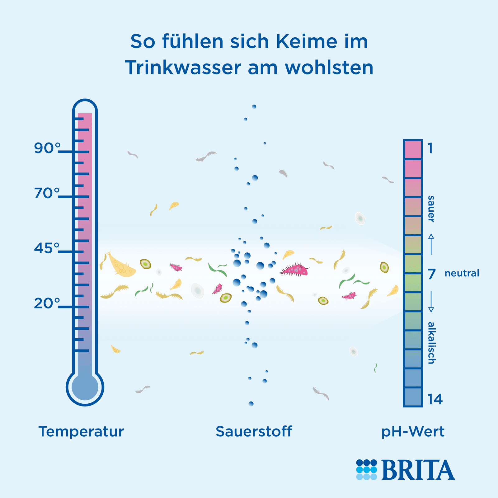 Infografik So fühlen sich Keime im Trinkwasser am wohlsten Infografik So fühlen sich Keime im Trinkwasser am wohlsten