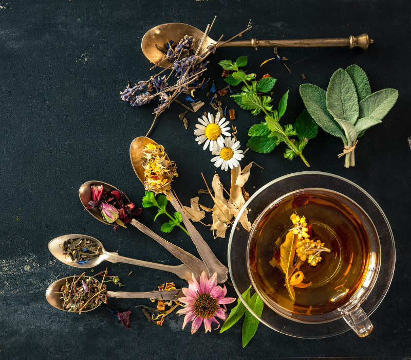 Selbstgemachter Kräutertee Verschiedene getrocknete Kräuter auf Löffel drapiert und ein Glas frischer Kräutertee