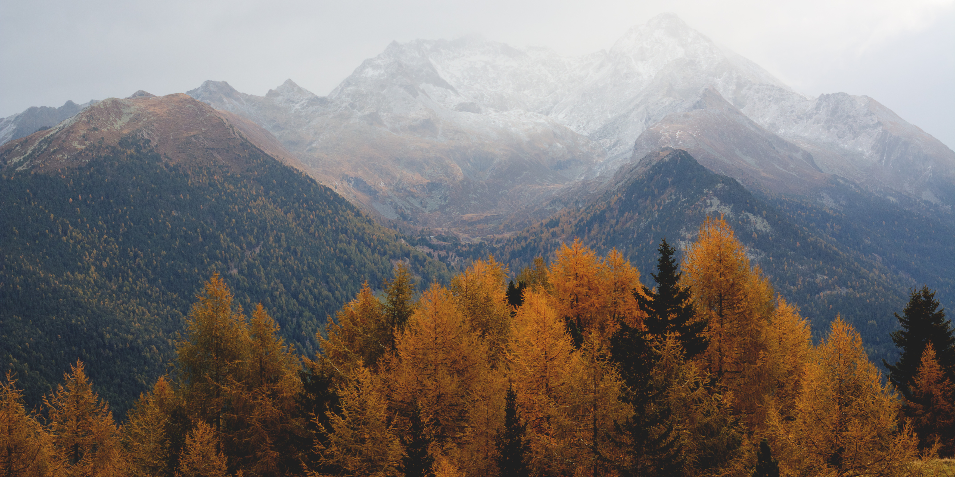 Berglandschaft mit Wald im Herbst