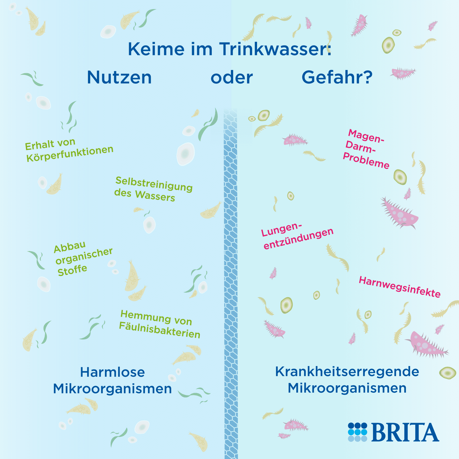 Infografik Keime im Trinkwasser