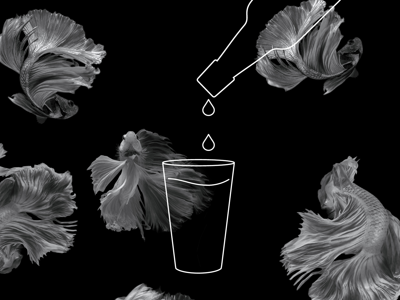 Glas mit Wasser befüllen Ein Glas wird mit Wasser aus einer Flasche befüllt
