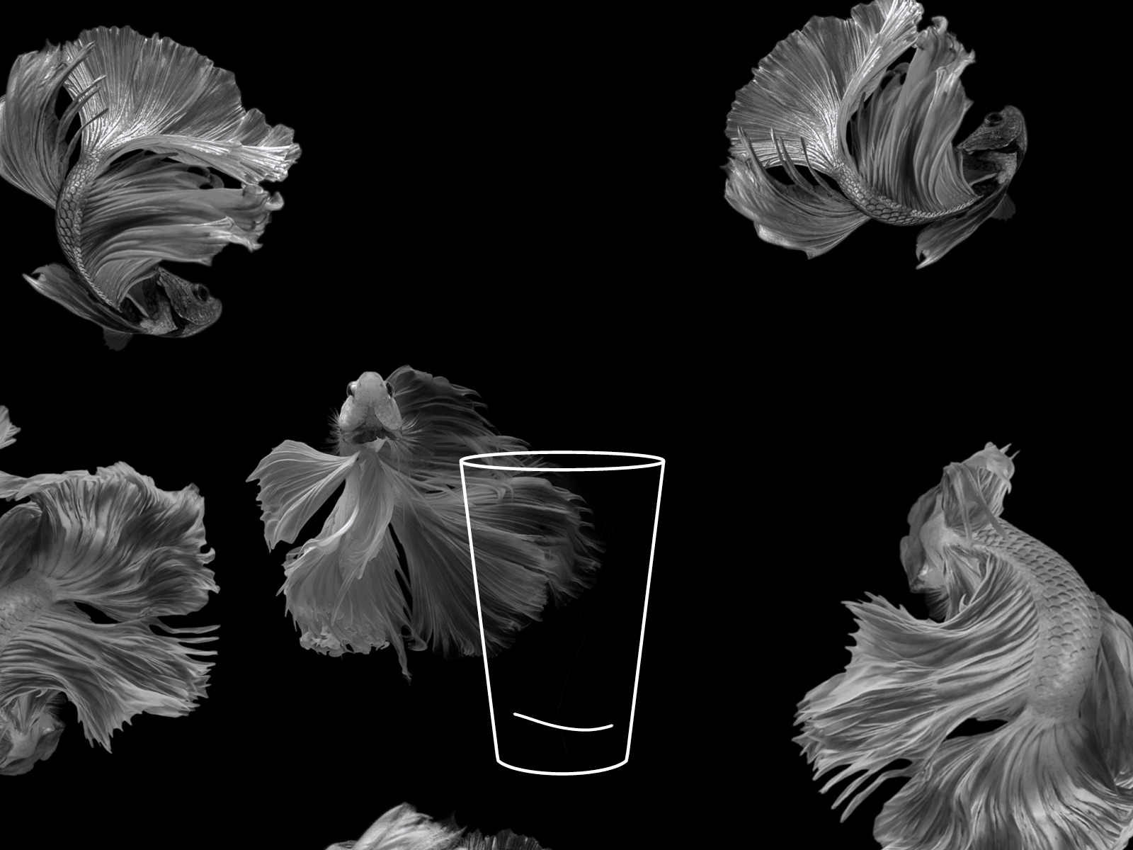 Ein leeres Glas steht vor einem schwarzen Hintergrund mit hellen, dekorativen Elementen.