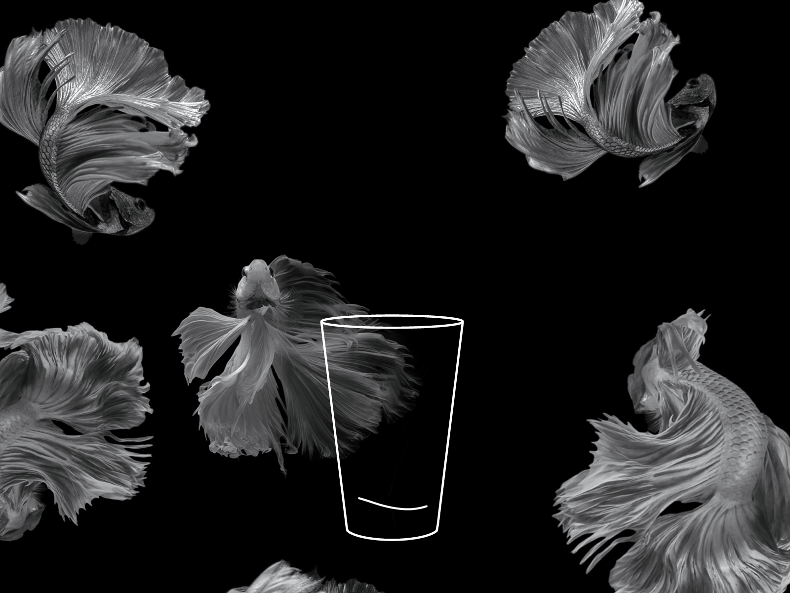Leeres Glas vor schwarzem Hintergrund Ein leeres Glas steht vor einem schwarzen Hintergrund mit hellen, dekorativen Elementen.
